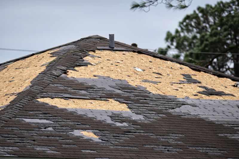 Loose Shingle Securing