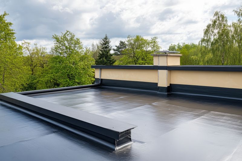 Roof Restoration Service